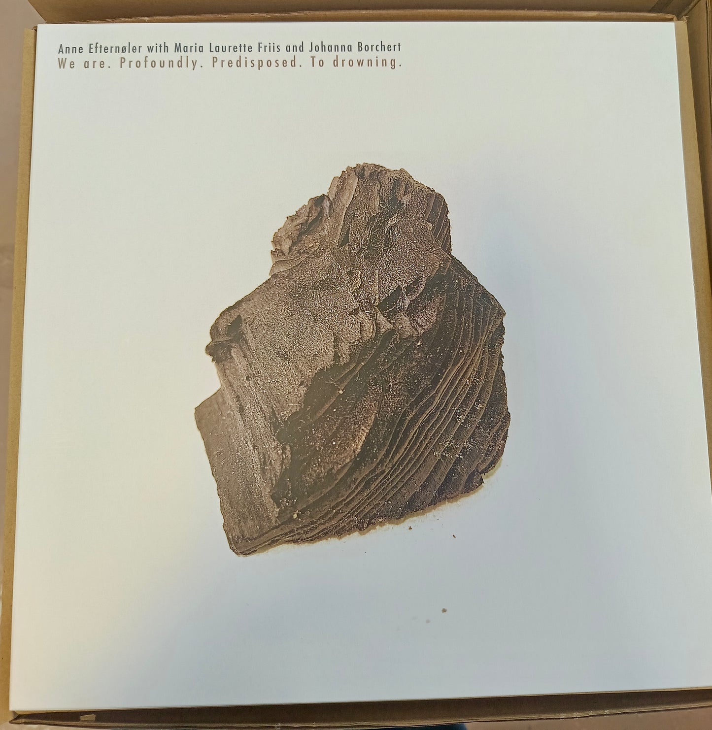 We are. Profoundly. Predisposed. To Drowning. (LP)/ Anne Efternøler with Maria Laurette Friis and Johanna Borchert